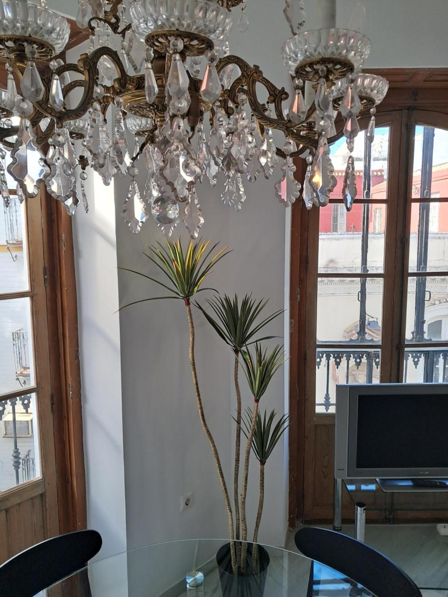 Apartamentos Almirante Hoyos เซบีญา ภายนอก รูปภาพ